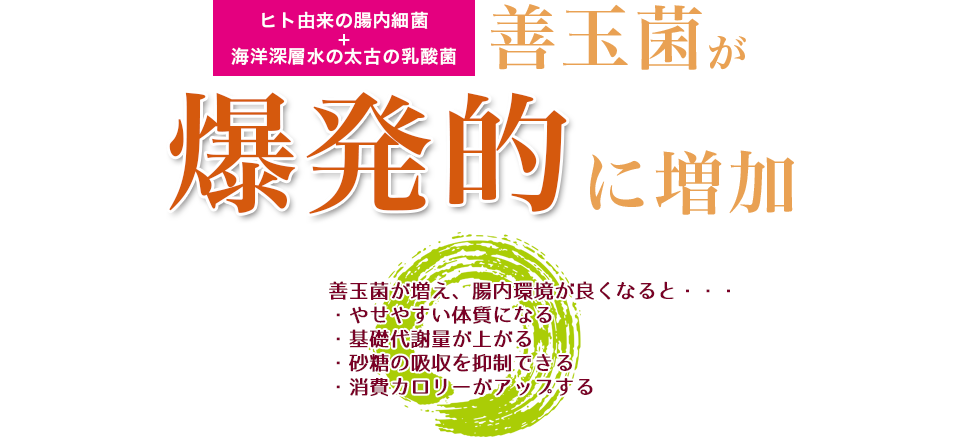 ヒト由来の腸内細菌+海洋深層水の太古の乳酸菌善玉菌が爆発的に増加